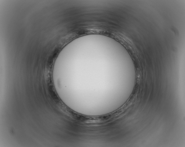 X0000113310369200909141011