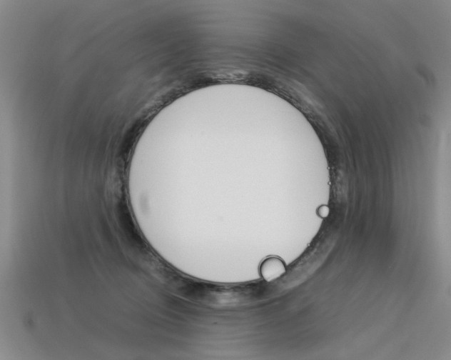 X0000113310370200909141011