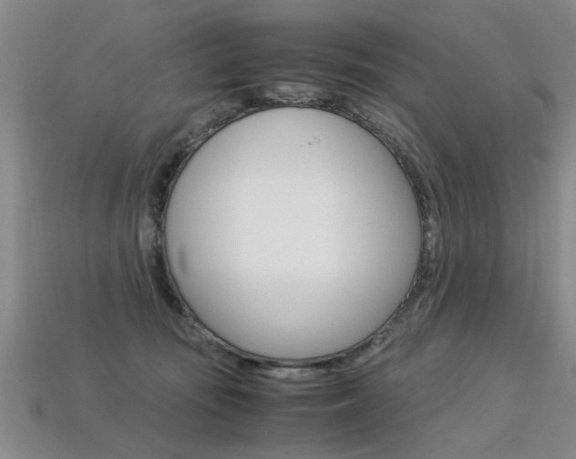 X0000113310371200909141011