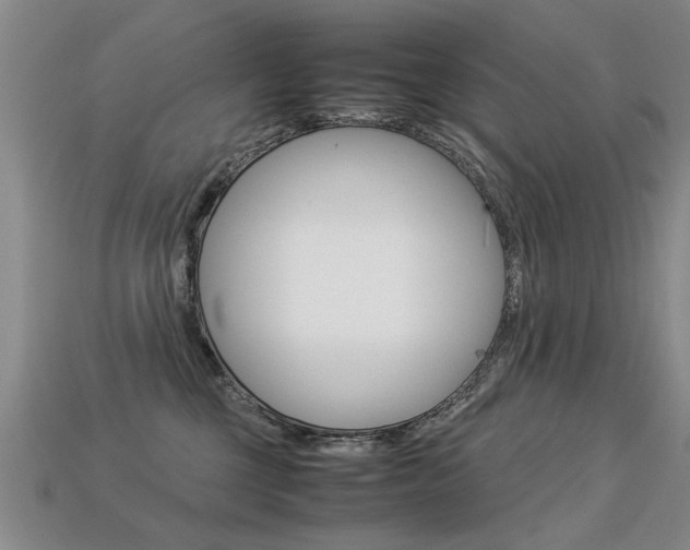 X0000113310377200909141011