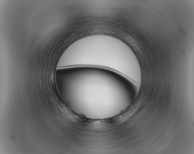 X0000113310382200909141011