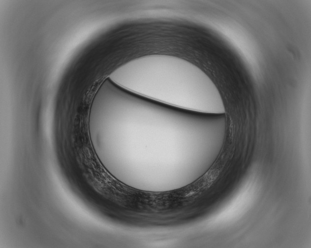 X0000113310383200909141011