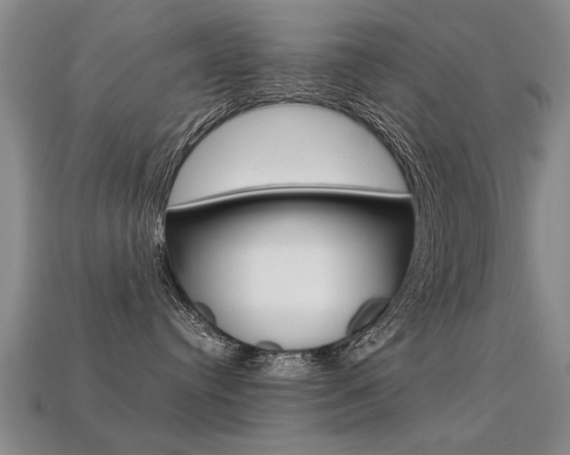 X0000113310384200909141011
