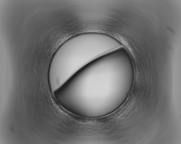 X0000113310385200909141010