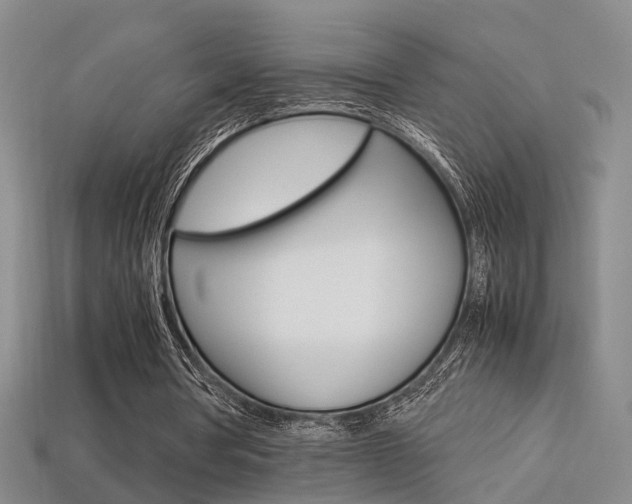X0000113310386200909141010