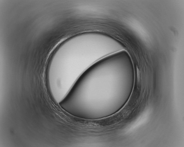 X0000113310387200909141010