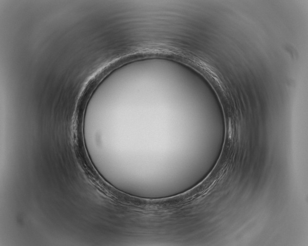 X0000113310388200909141010