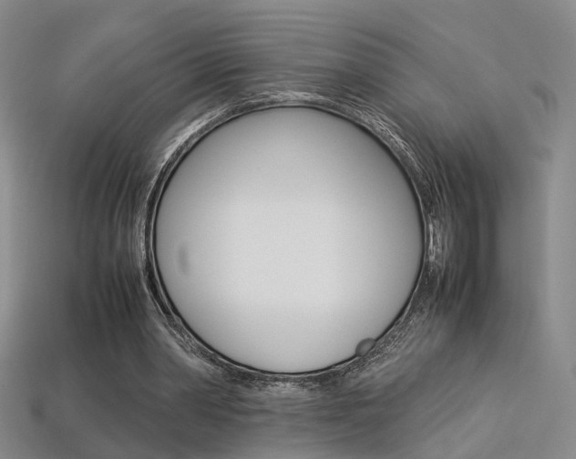 X0000113310390200909141010