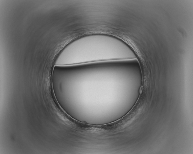 X0000113310393200909141010