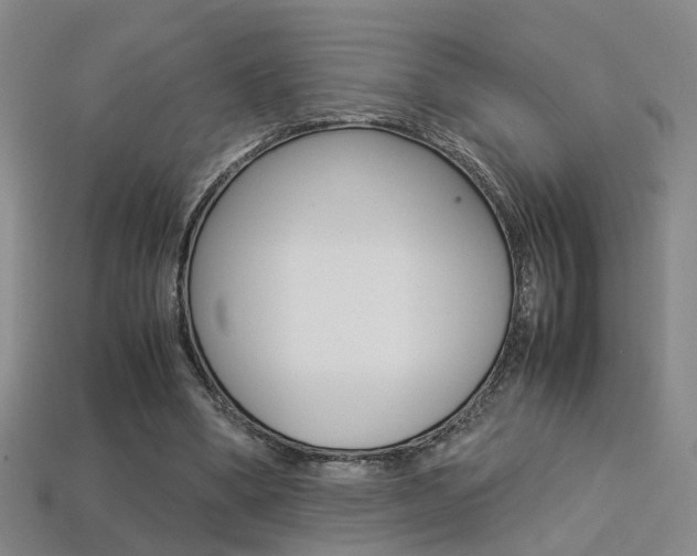 X0000113310394200909141010