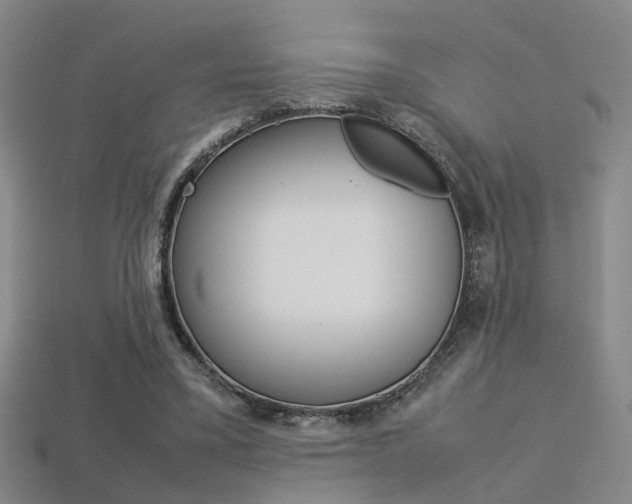 X0000113310395200909141010