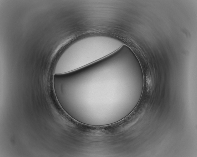 X0000113310396200909141010