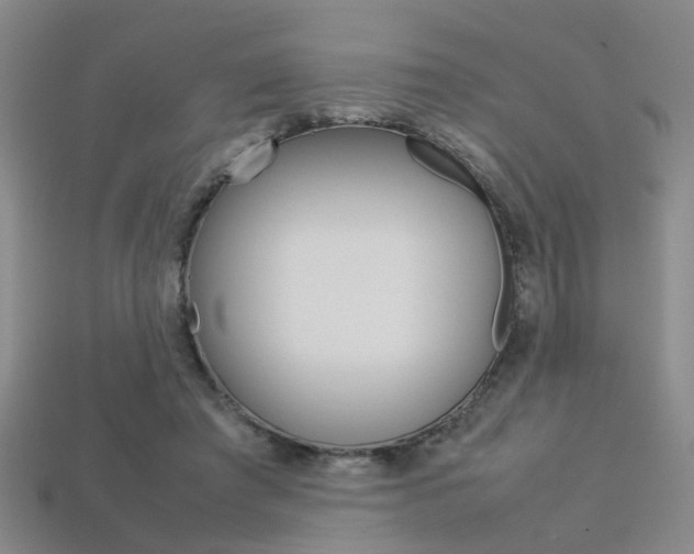 X0000113310401200909141010