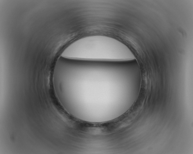 X0000113310404200909141010
