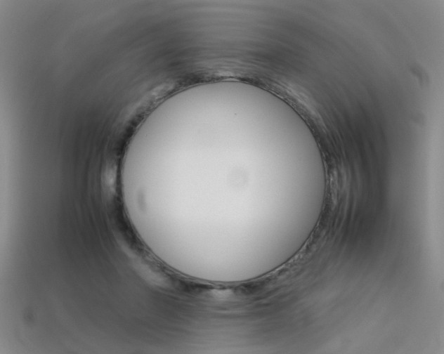 X0000113310406200909141010