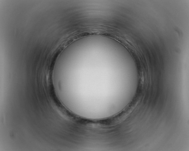 X0000113310408200909141010