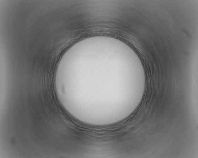 X0000113310411200909141010