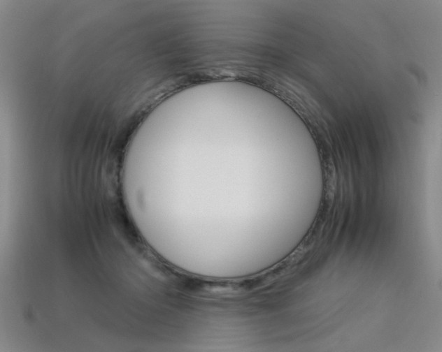 X0000113310414200909141010