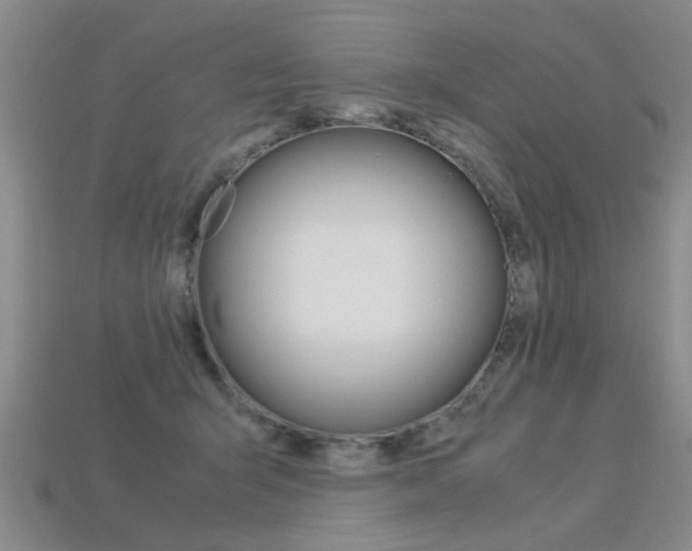 X0000113310415200909141010