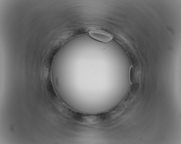 X0000113310417200909141010