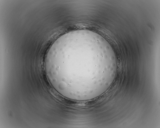 X0000113310418200909141010