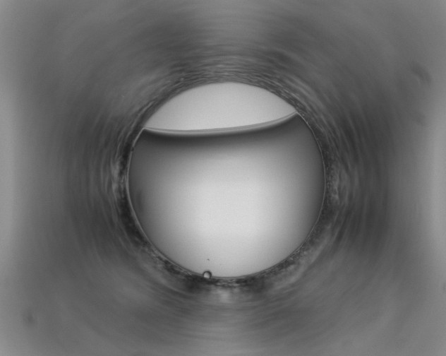 X0000113310420200909141010