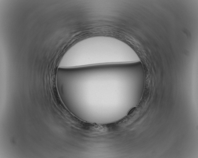 X0000113310421200909141010