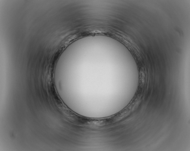 X0000113310422200909141010