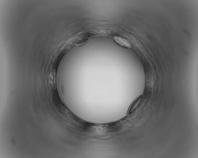 X0000113310425200909141010
