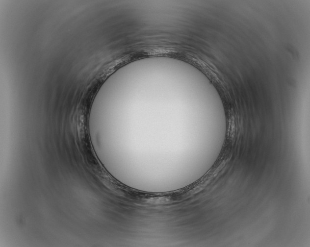 X0000113310426200909141010