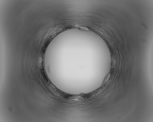X0000113310427200909141010