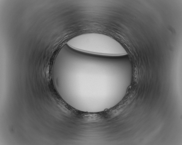 X0000113310428200909141010