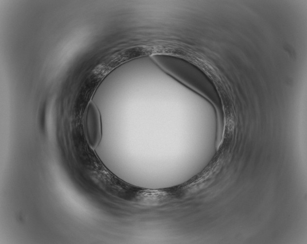 X0000113310429200909141010