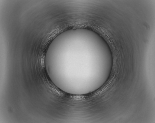 X0000113310432200909141009