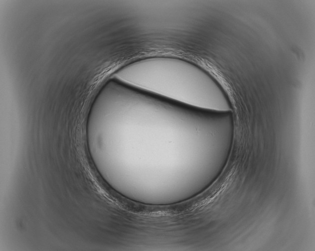 X0000113310433200909141009