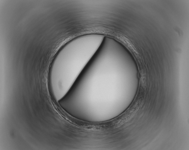 X0000113310434200909141009