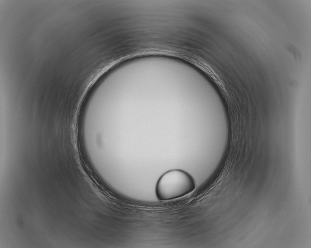 X0000113310436200909141009