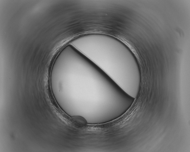 X0000113310437200909141009
