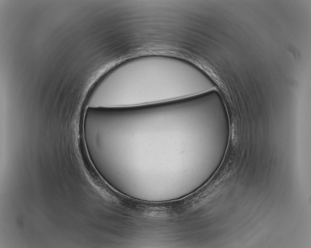 X0000113310438200909141009