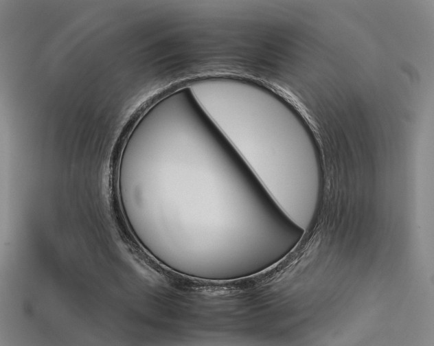 X0000113310439200909141009