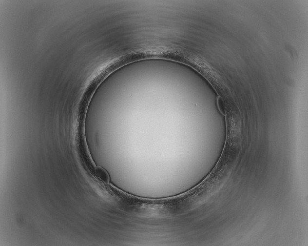 X0000113310440200909141009