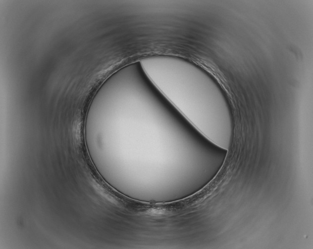 X0000113310441200909141009