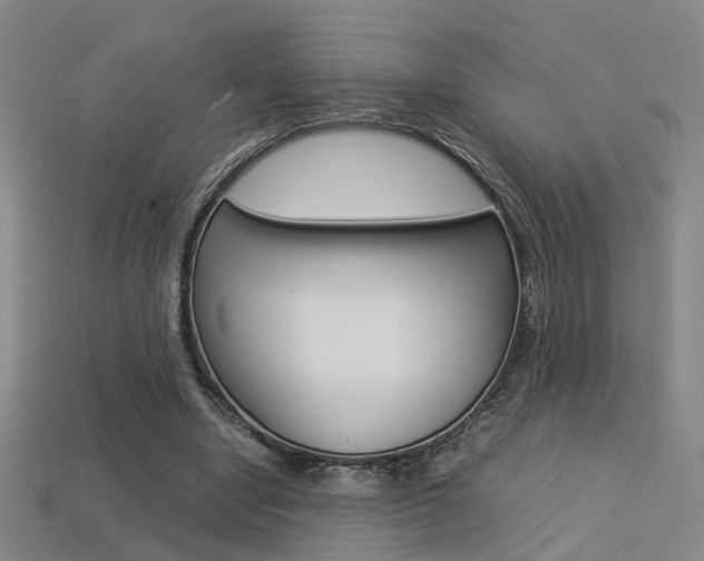 X0000113310442200909141009