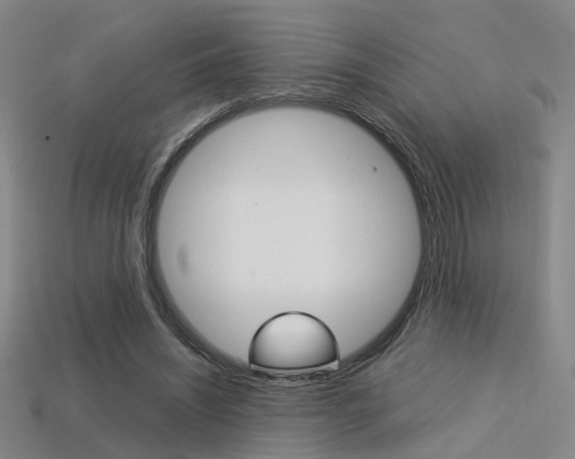 X0000113310444200909141009
