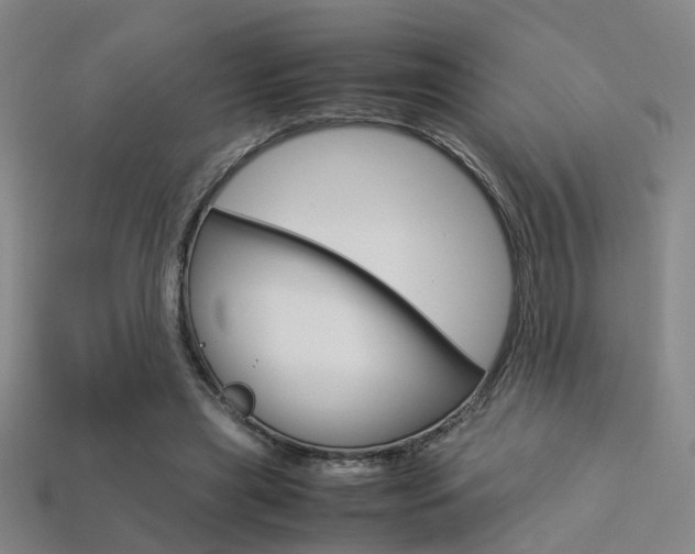 X0000113310445200909141009
