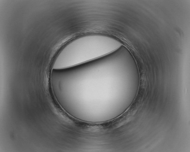 X0000113310446200909141009