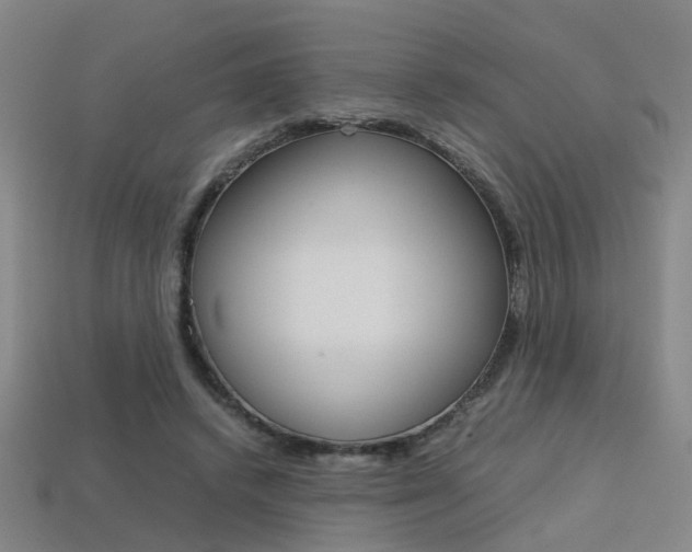 X0000113310448200909141009