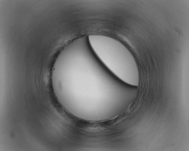 X0000113310451200909141009