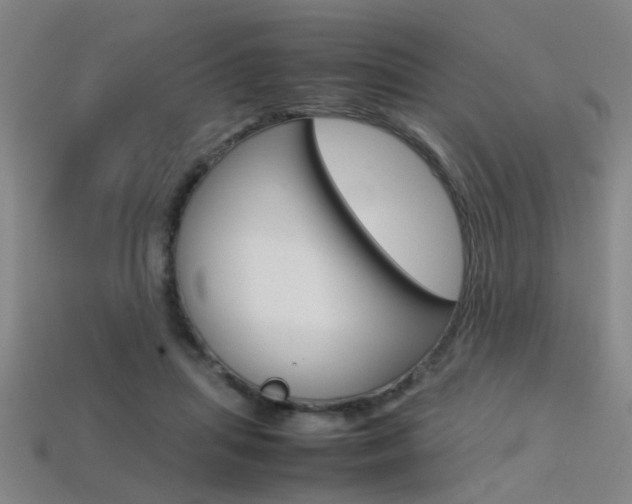 X0000113310455200909141009