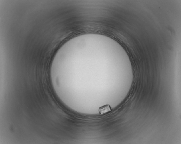 X0000113310456200909141009